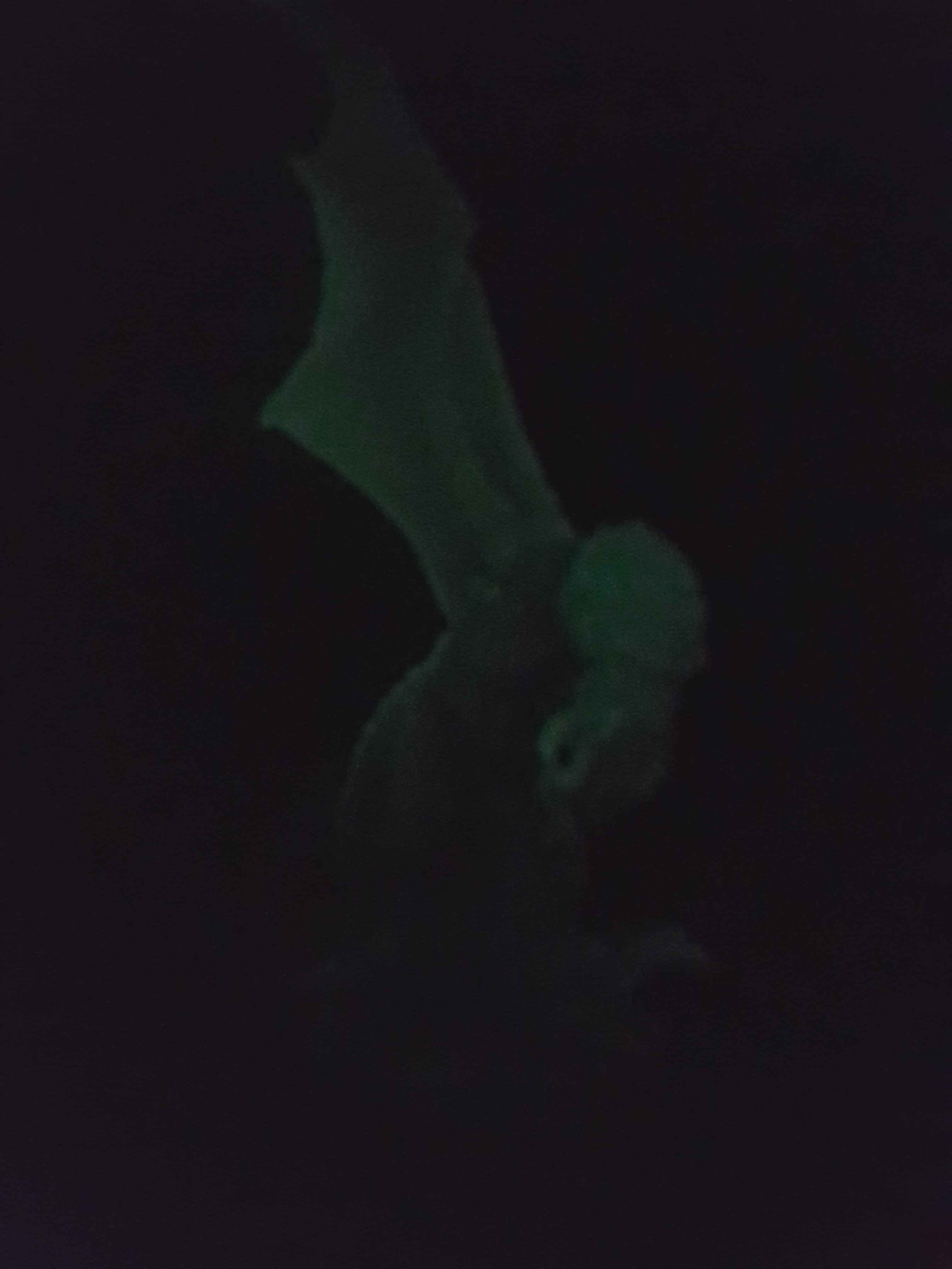 tmp_5324-20170609_0005531361633046.jpg