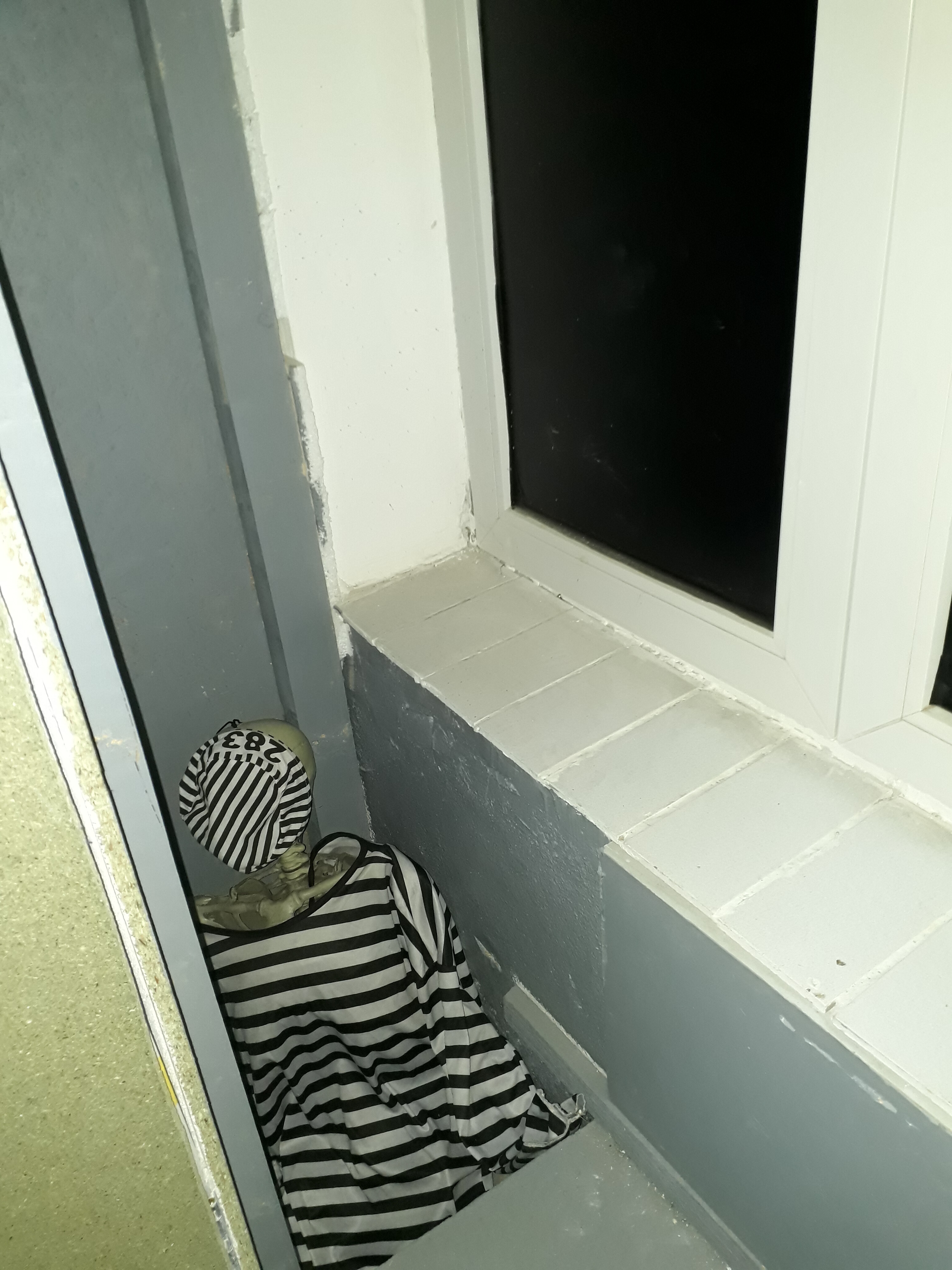 20171207_202423.jpg