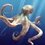 Oktopus
